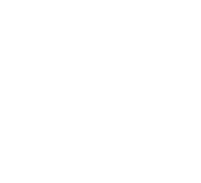 The South